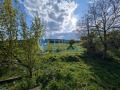 Продава ПАРЦЕЛ, област Велико Търново, с. Джулюница • 6650 € • 73877537 — Holmes.bg