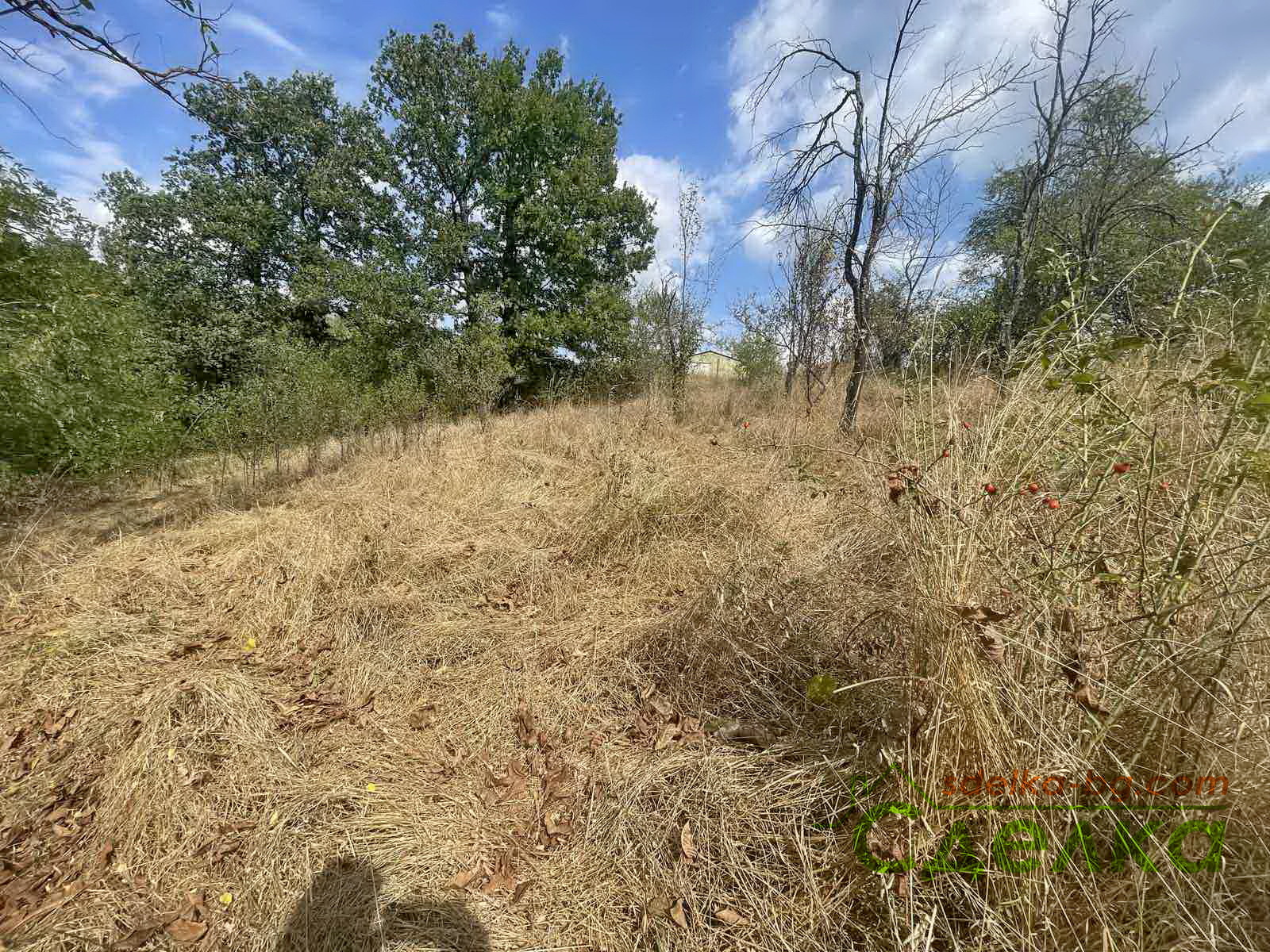 ������� ���� | Imot.bg � ����������� 8