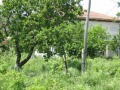 Продава КЪЩА, област Стара Загора, с. Конаре • 40000 € / 78233.20 лв. • 80774254 6