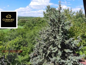 ������� ���� | Imot.bg � ����� ������ 12