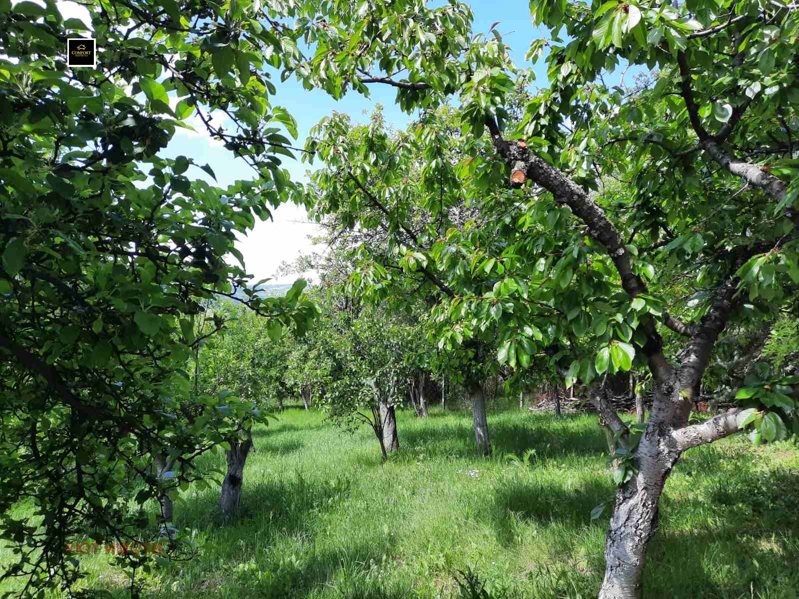 Продава КЪЩА, с. Дреново, област София област, снимка 4 - Къщи - 54685604