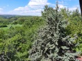 Продава КЪЩА, с. Дреново, област София област, снимка 12