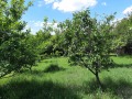 Продава КЪЩА, с. Дреново, област София област, снимка 3