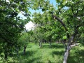 Продава КЪЩА, с. Дреново, област София област, снимка 4