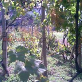 ������� ���������� ���� | Imot.bg � ����������� 1