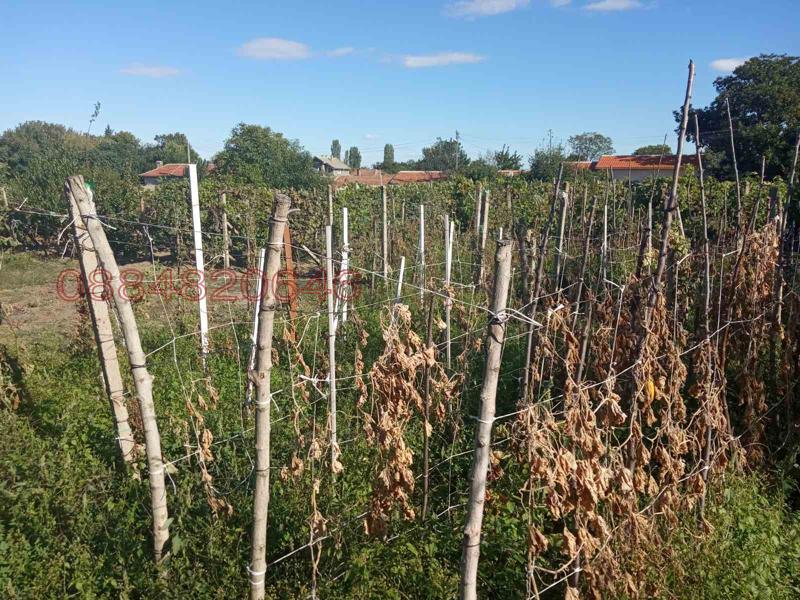 Продава ПАРЦЕЛ, с. Караново, област Сливен, снимка 3 - Парцели - 52779151