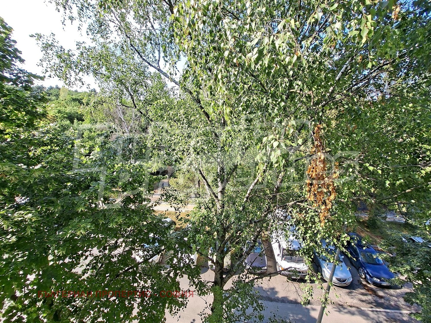 ������� 2-����� | Imot.bg � ����������� 17