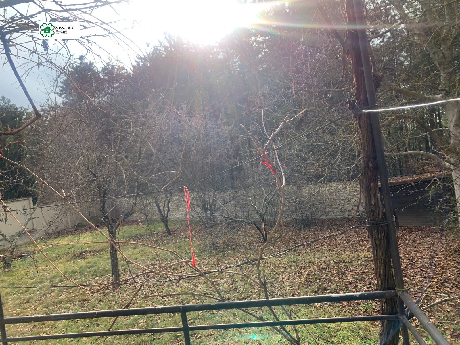 ������� ���� | Imot.bg � ����������� 13