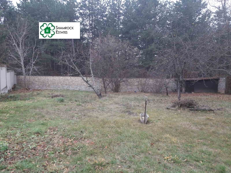 Продава КЪЩА, гр. София, с. Долни Богров, снимка 13 - Къщи - 53308416