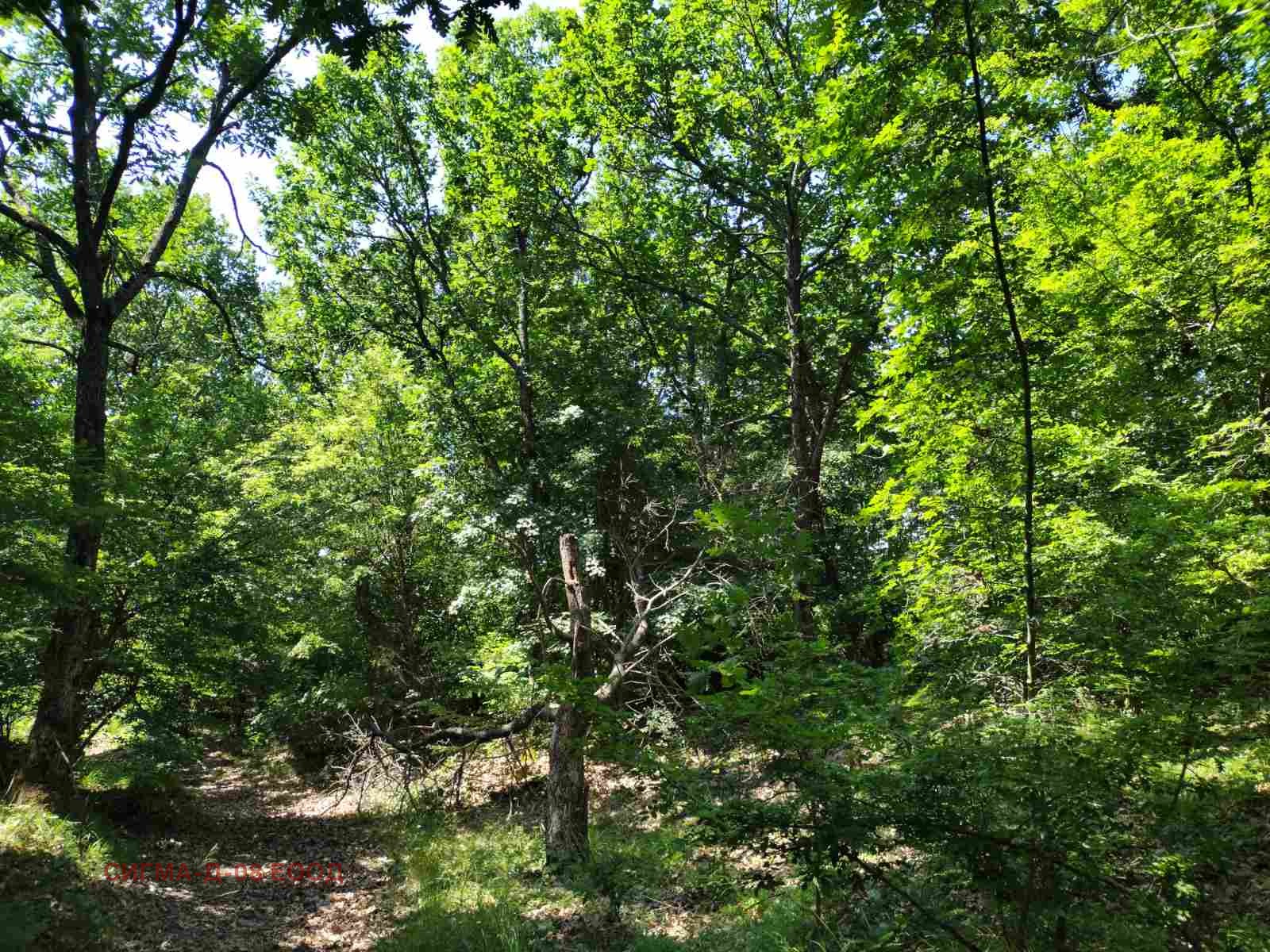 Продава ПАРЦЕЛ | Imot.bg — изображение 2