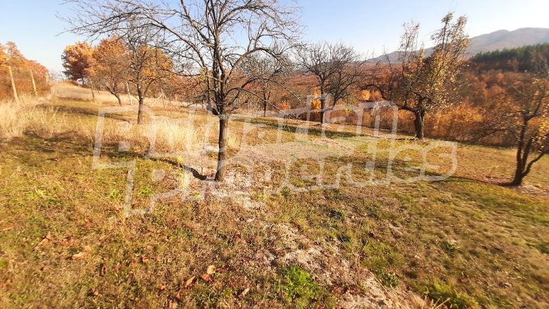 Продава ПАРЦЕЛ, с. Столът, област Габрово, снимка 2 - Парцели - 52746422