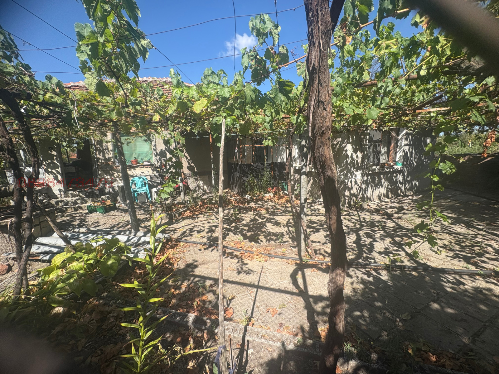 Продава КЪЩА, с. Радиево, област Хасково, снимка 6 - Къщи - 56091661