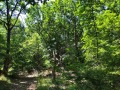 Продава ПАРЦЕЛ, гр. Царево, област Бургас, снимка 2