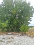 Продава ПАРЦЕЛ, град Пловдив, Остромила • 139200 € • 38346855 — Holmes.bg