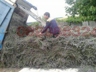 Продава ПРОМ. ПОМЕЩЕНИЕ, гр. Алфатар, област Силистра, снимка 7 - Производствени сгради - 52786543