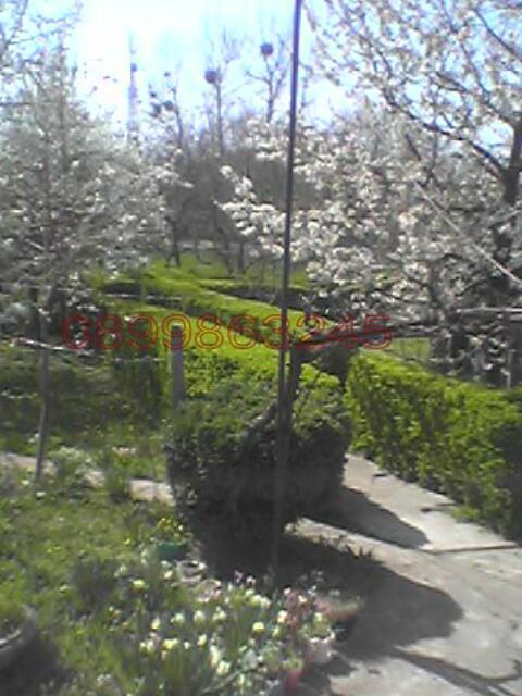 Продава ПРОМ. ПОМЕЩЕНИЕ, гр. Алфатар, област Силистра, снимка 4 - Производствени сгради - 52786543