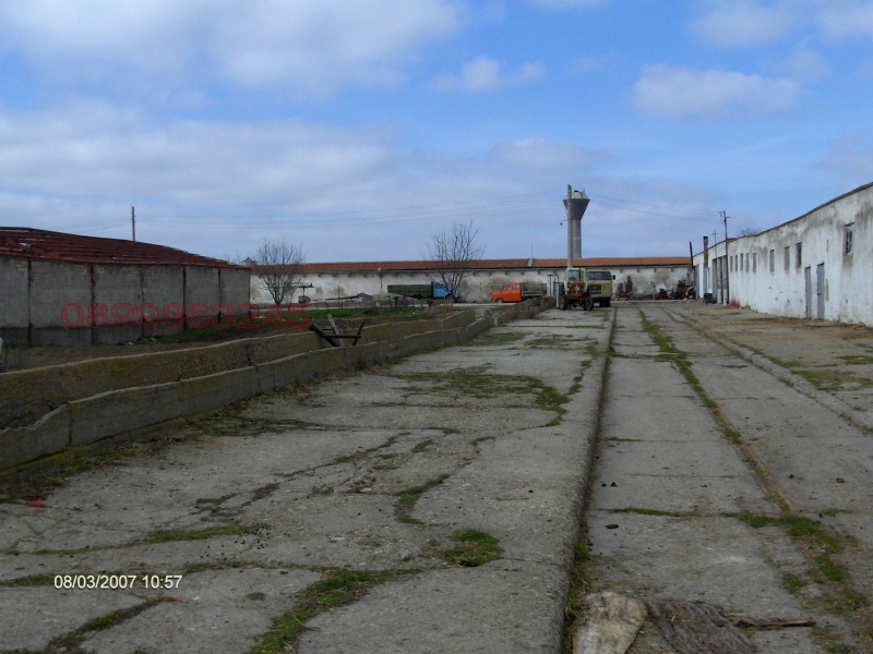 Продава ПРОМ. ПОМЕЩЕНИЕ, гр. Алфатар, област Силистра, снимка 10 - Производствени сгради - 52786543