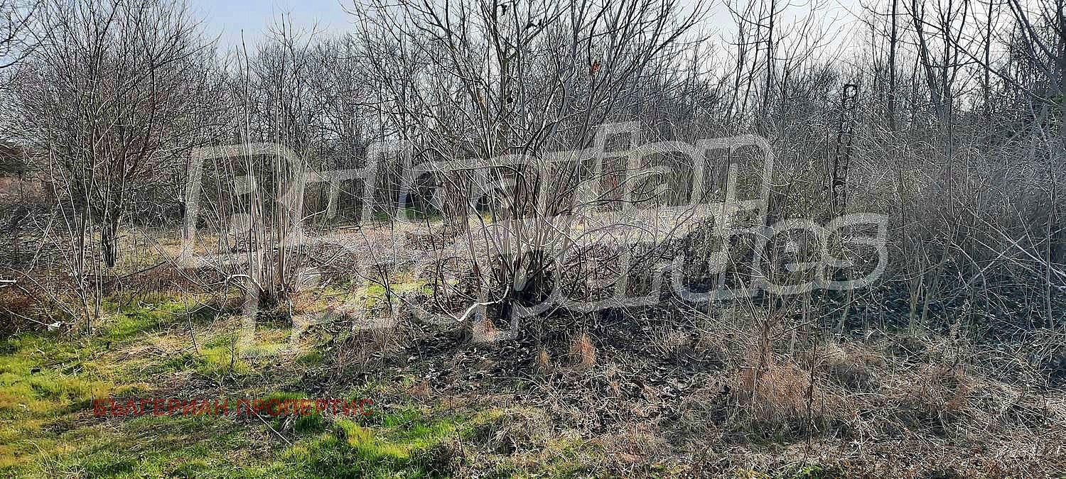 Продава КЪЩА, с. Нейково, област Добрич, снимка 9 - Къщи - 49569435