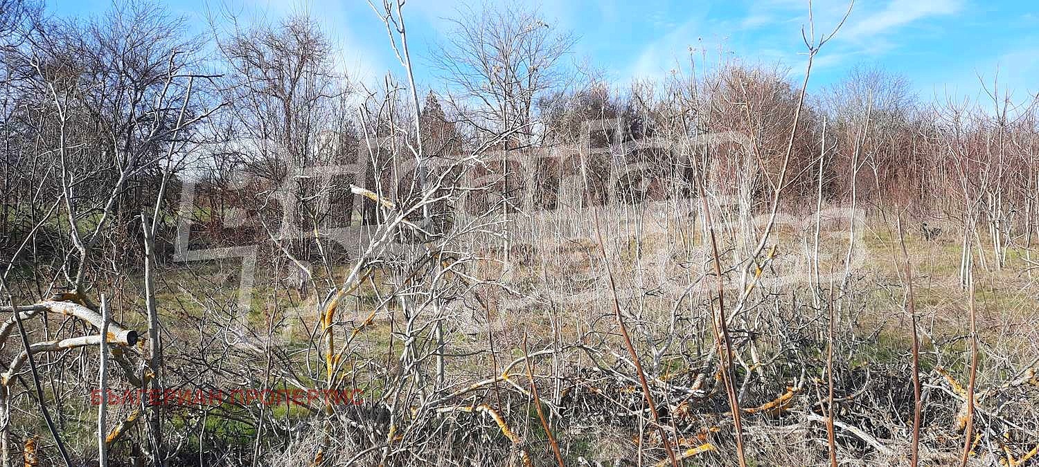 Продава КЪЩА, с. Нейково, област Добрич, снимка 11 - Къщи - 49569435