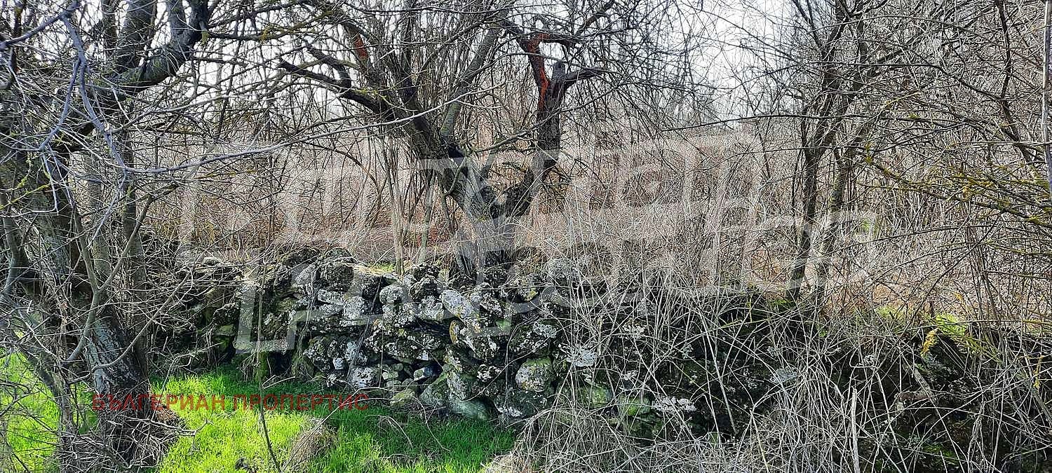 Продава КЪЩА, с. Нейково, област Добрич, снимка 10 - Къщи - 49569435