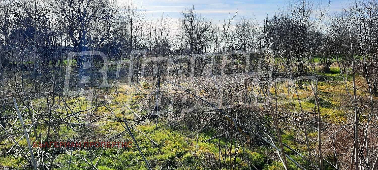 Продава КЪЩА, с. Нейково, област Добрич, снимка 12 - Къщи - 49569435