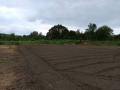 Продава КЪЩА, област Плевен, с. Тотлебен • 20000 лв. • 37728946 — Holmes.bg