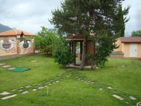 ����� ������� ����,���� ������, ������