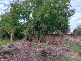 ������� ���� | Imot.bg � ����� ������ 12