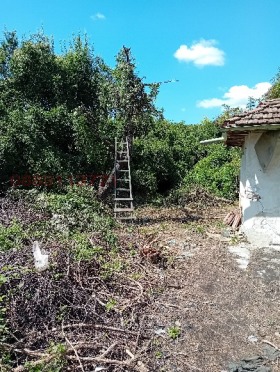 ������� ���� | Imot.bg � ����� ������ 13