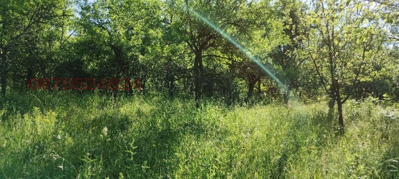 Продава ПАРЦЕЛ, гр. Априлци, област Ловеч, снимка 8 - Парцели - 52786306