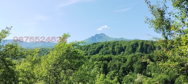 Продава ПАРЦЕЛ, гр. Априлци, област Ловеч, снимка 5 - Парцели - 52786306