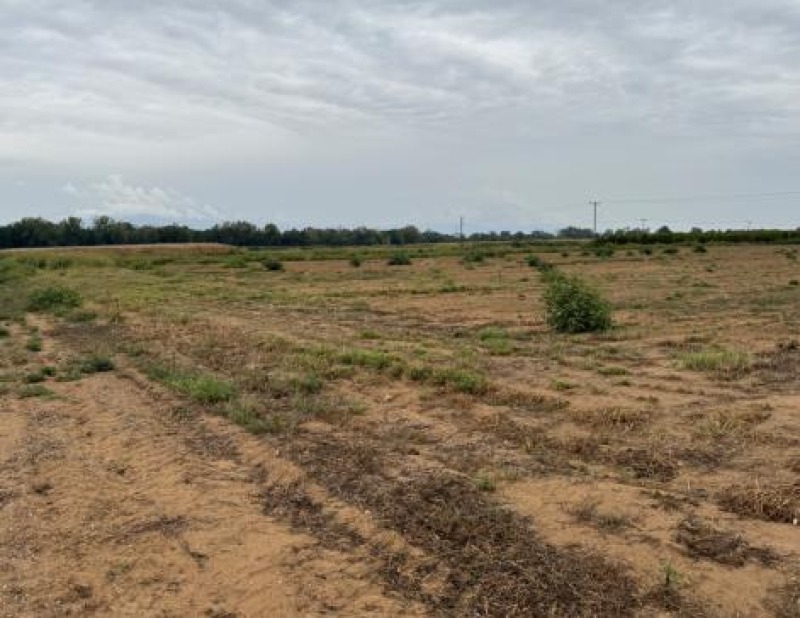 À vendre  Atterrir région de Haskovo , Stamboliiski , 15.246 dka | 63403487