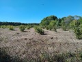 Продава ЗЕМЕДЕЛСКА ЗЕМЯ, с. Индже войвода, област Бургас, снимка 6