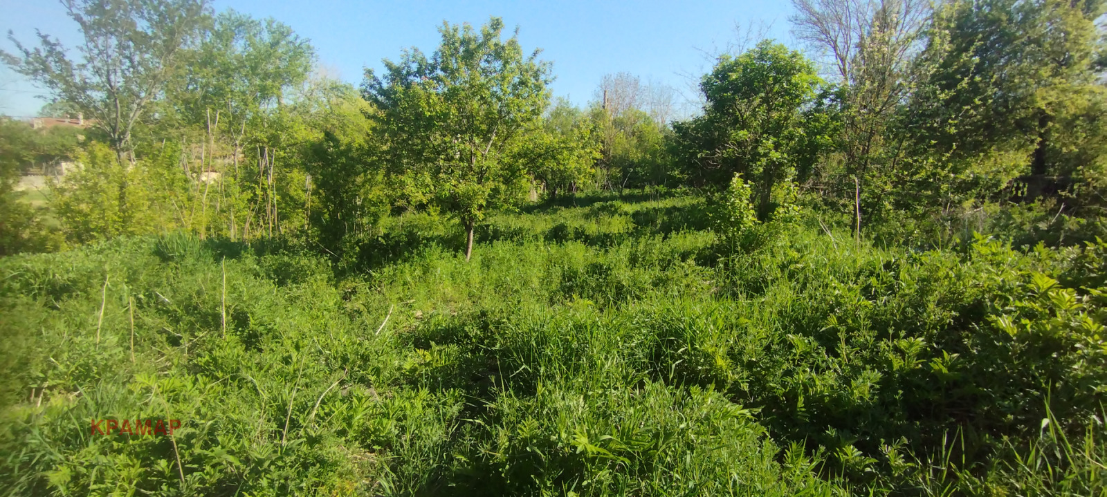������� ������ | Imot.bg � ����������� 6