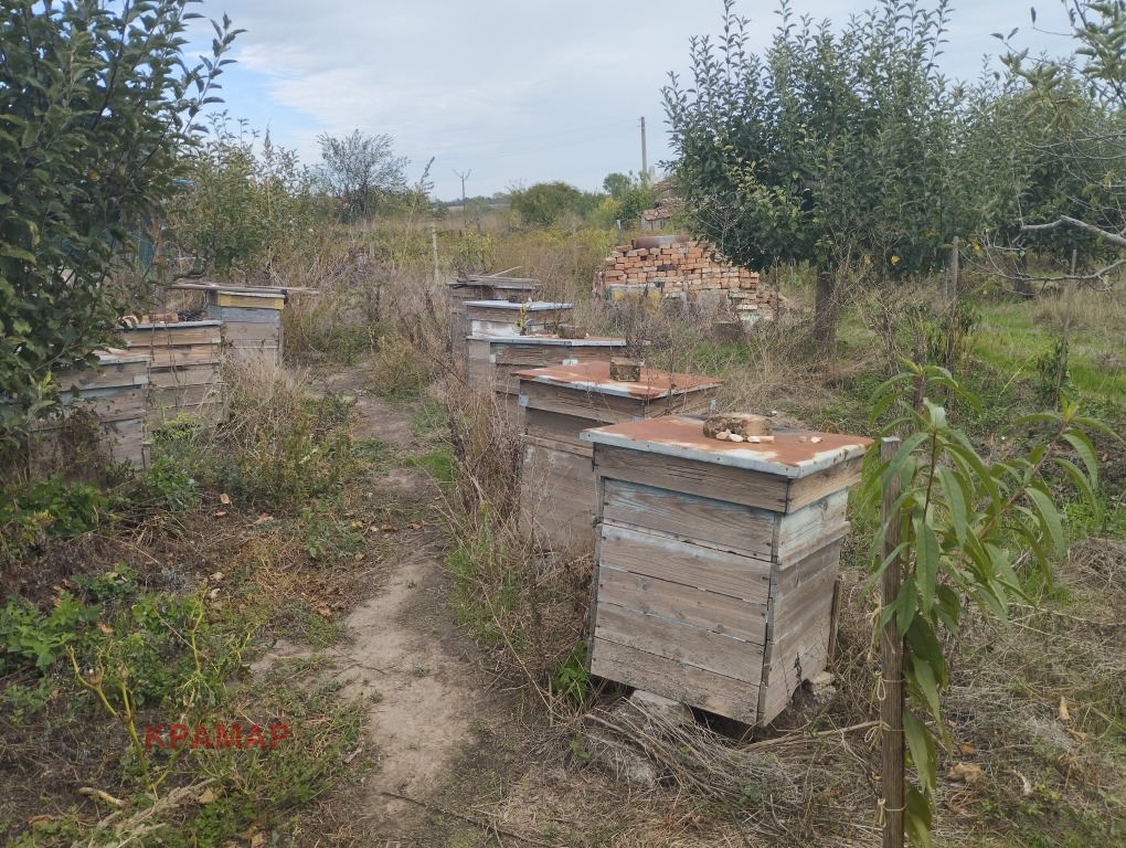 ������� ������ | Imot.bg � ����������� 1