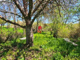 ������� ������ | Imot.bg � ����� ������ 12