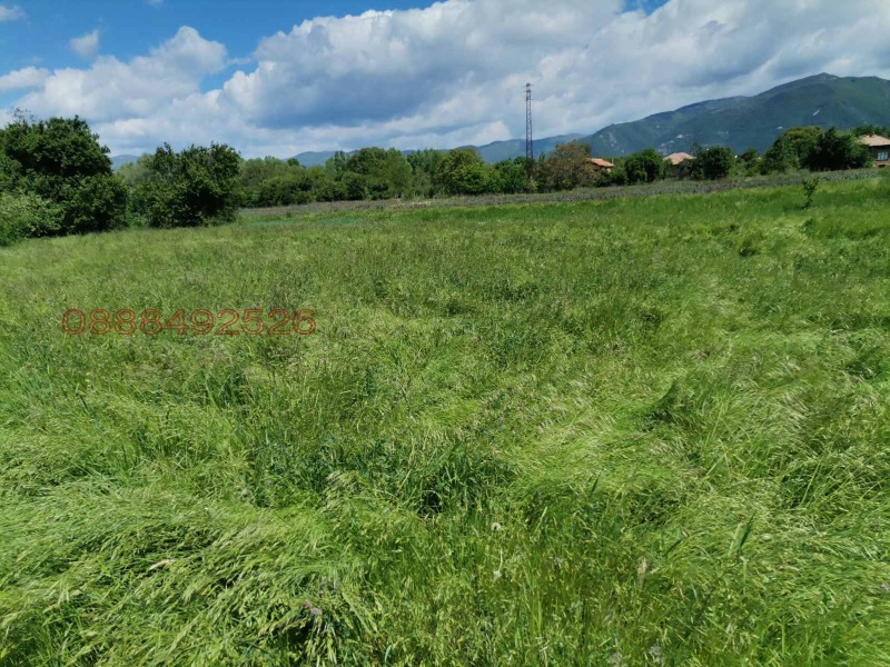 Продава ПАРЦЕЛ, с. Столетово, област Пловдив, снимка 2 - Парцели - 53212138