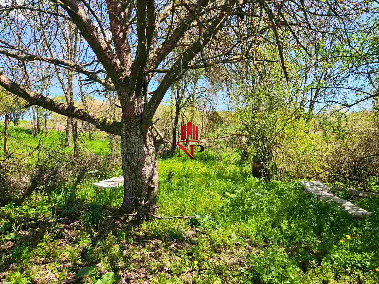 Продава ПАРЦЕЛ, яз. Пчелина, област Перник, снимка 12 - Парцели - 54332545