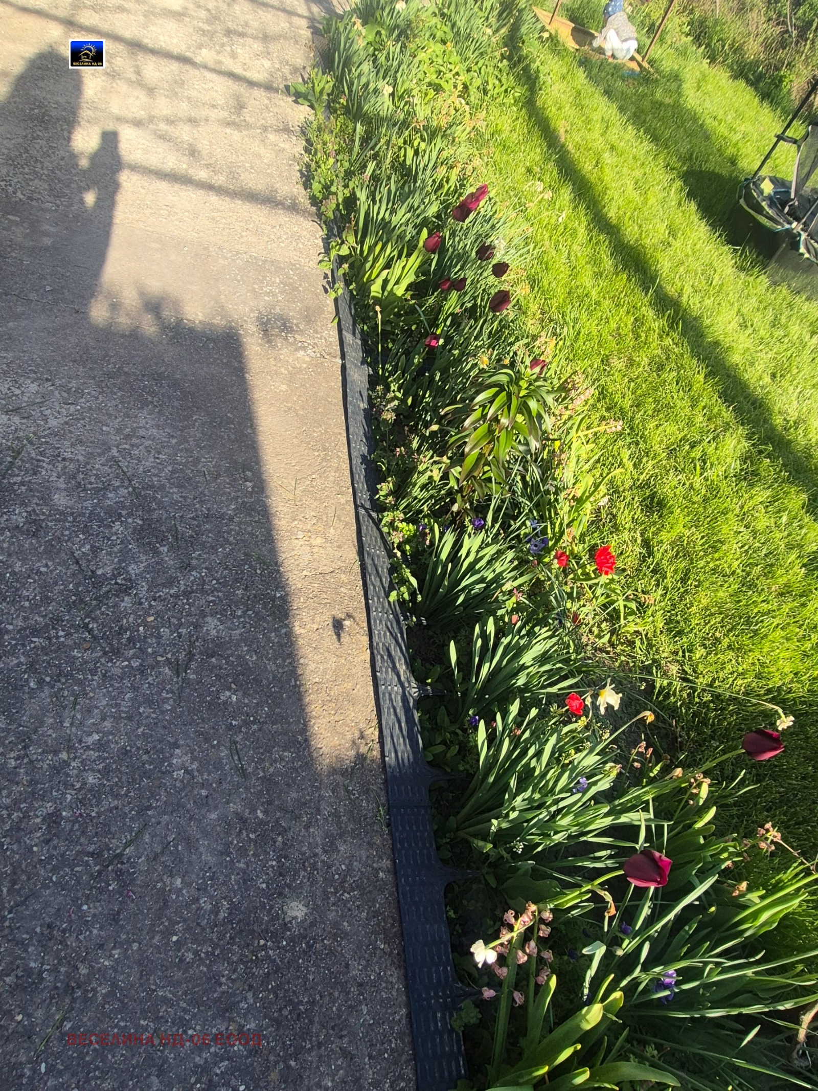 ������� ���� | Imot.bg � ����������� 11