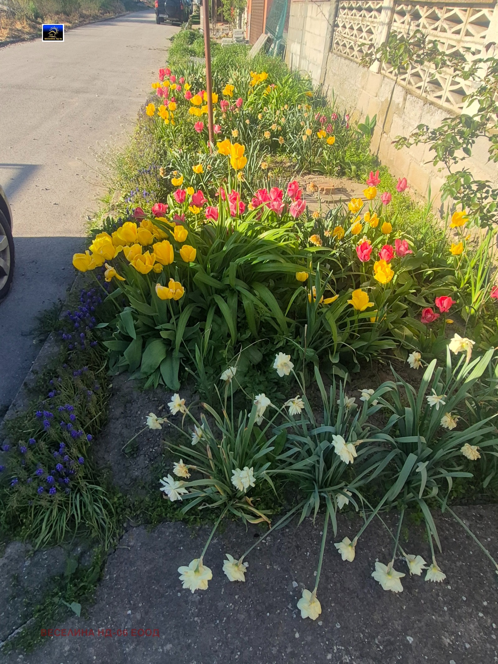 ������� ���� | Imot.bg � ����������� 13