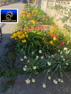 ������� ���� | Imot.bg � ����� ������ 13