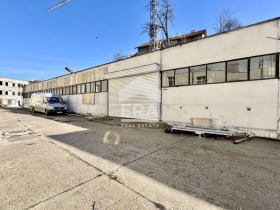 ����� ������� �����,���� ����, ���������� ���� - �����