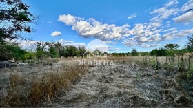 ����� ������� ������,�. �������, ������ ������