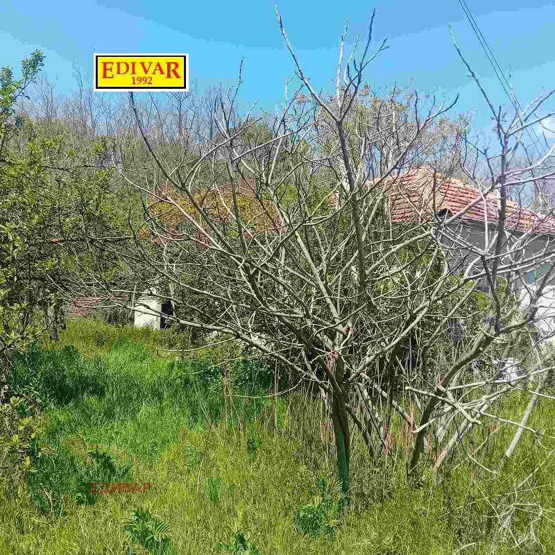 Til salg  Hus region Varna , Goren chiflik , 100 kvm | 78298595 - billede [5]