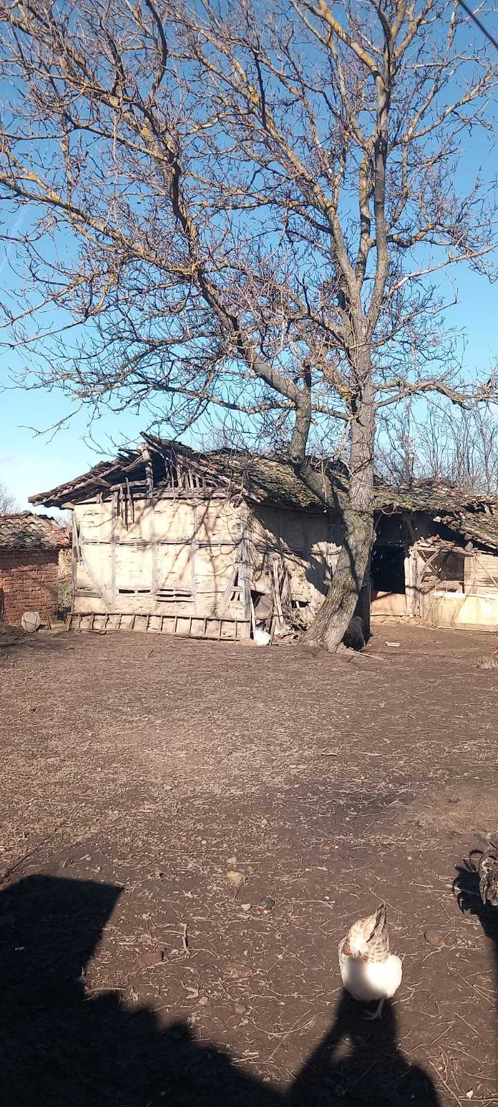 Продава КЪЩА, с. Кара Михал, област Разград, снимка 8 - Къщи - 53331453