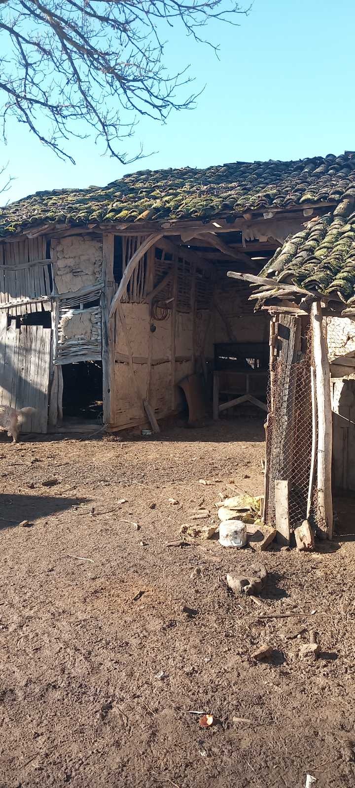 Продава КЪЩА, с. Кара Михал, област Разград, снимка 2 - Къщи - 53331453