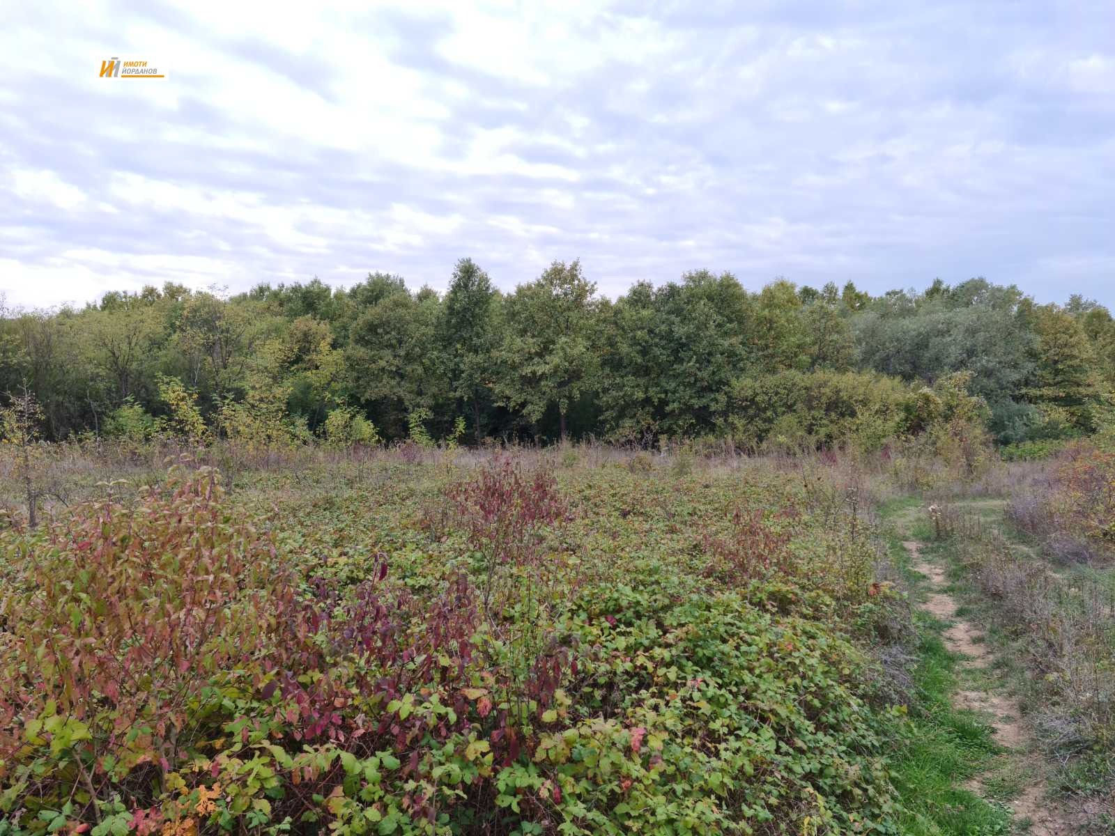 Продава ПАРЦЕЛ, с. Велчево, област Велико Търново, снимка 2 - Парцели - 53674899