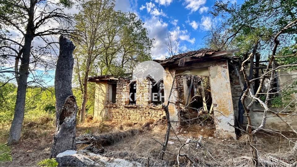 Продава ПАРЦЕЛ, с. Градини, област Добрич, снимка 2 - Парцели - 53832214