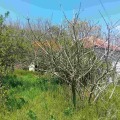 Продава КЪЩА, област Варна, с. Горен чифлик • 25000 € • 47750430 — Holmes.bg