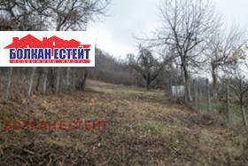Продажба на имоти в с. Шереметя, област Велико Търново — страница 2 - изображение 7 